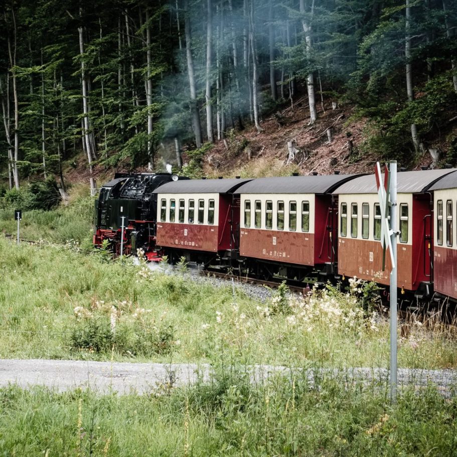 Dampflok fährt durch eine bewaldete Landschaft mit grünen Wiesen.